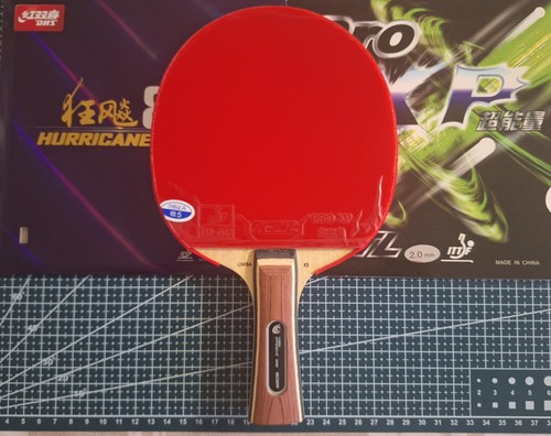 Racchetta ping pong - racchetta, ping-pong