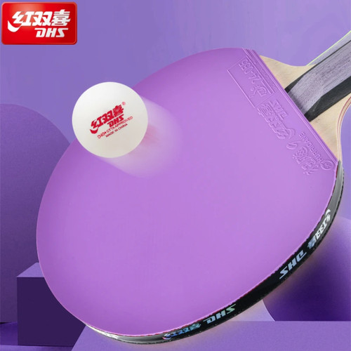 Dhs h6001 racchetta ping - racchetta, da
