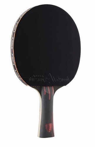 Paddle ping pong professionali - paddle,