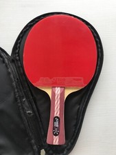 Racchetta da Ping Pong DHS